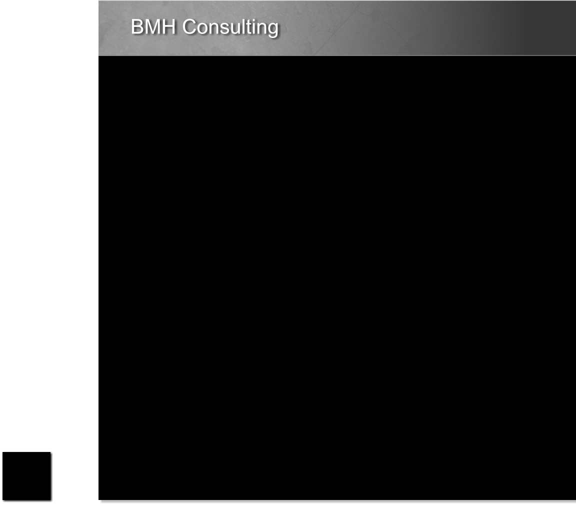 BMH Consulting